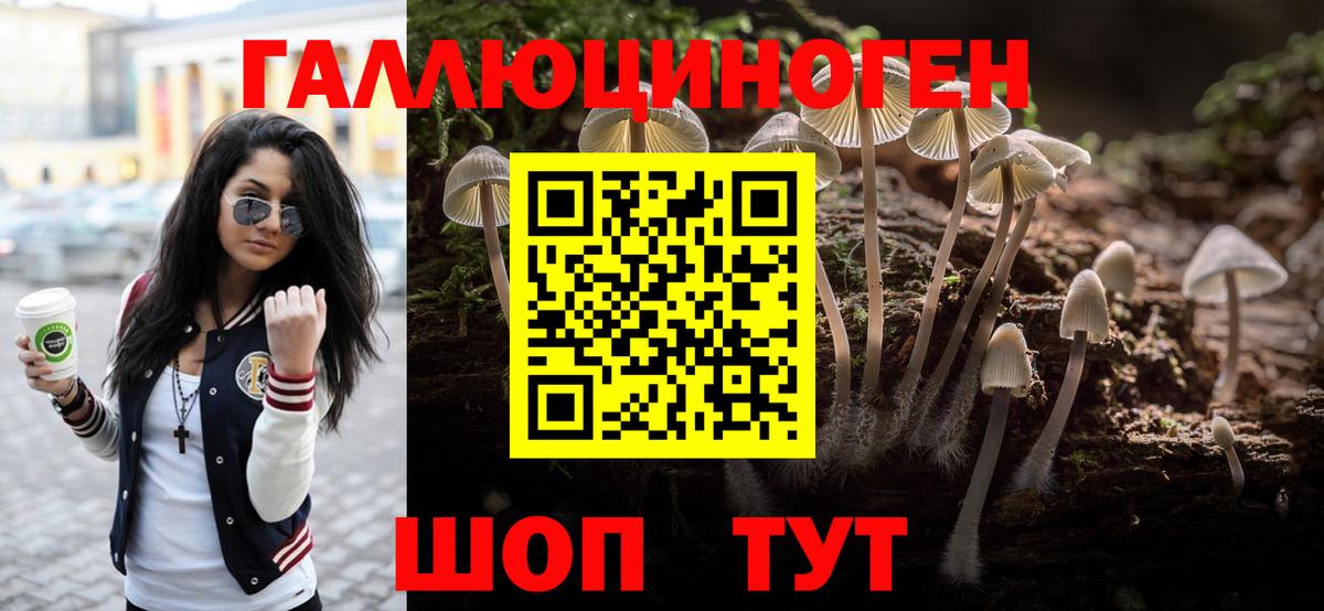 Псилоцибиновые грибы прущие грибы Шали
